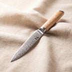 Matsu Collection  Set — VG10 Damascus Steel