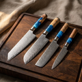 Set of 4 Japanese Knives – Niigata Collection